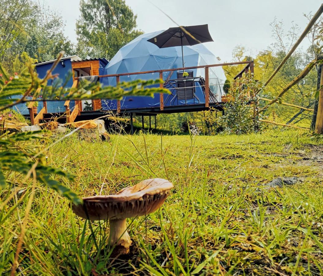 Glamping Blue Hotell Guatavita Exteriör bild
